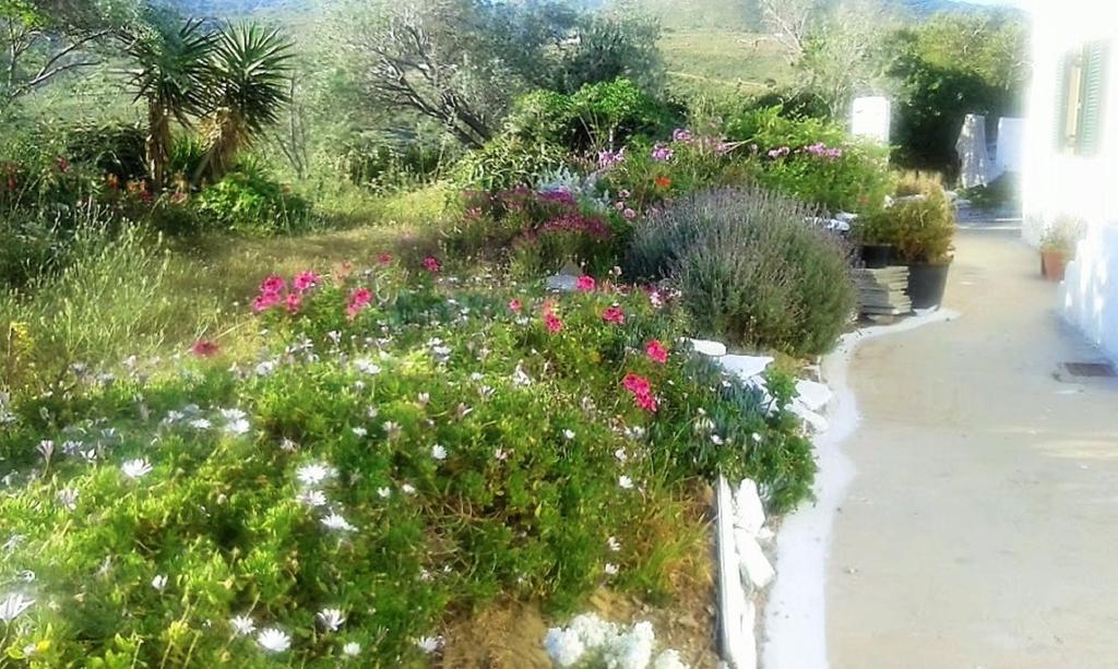 Avgoustis' Stone House Villa Otzias Bagian luar foto