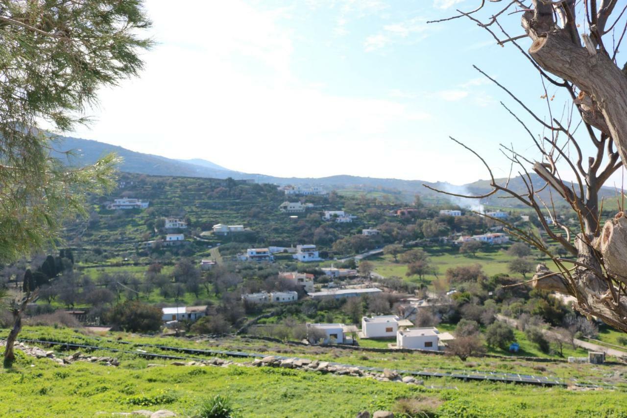Avgoustis' Stone House Villa Otzias Bagian luar foto